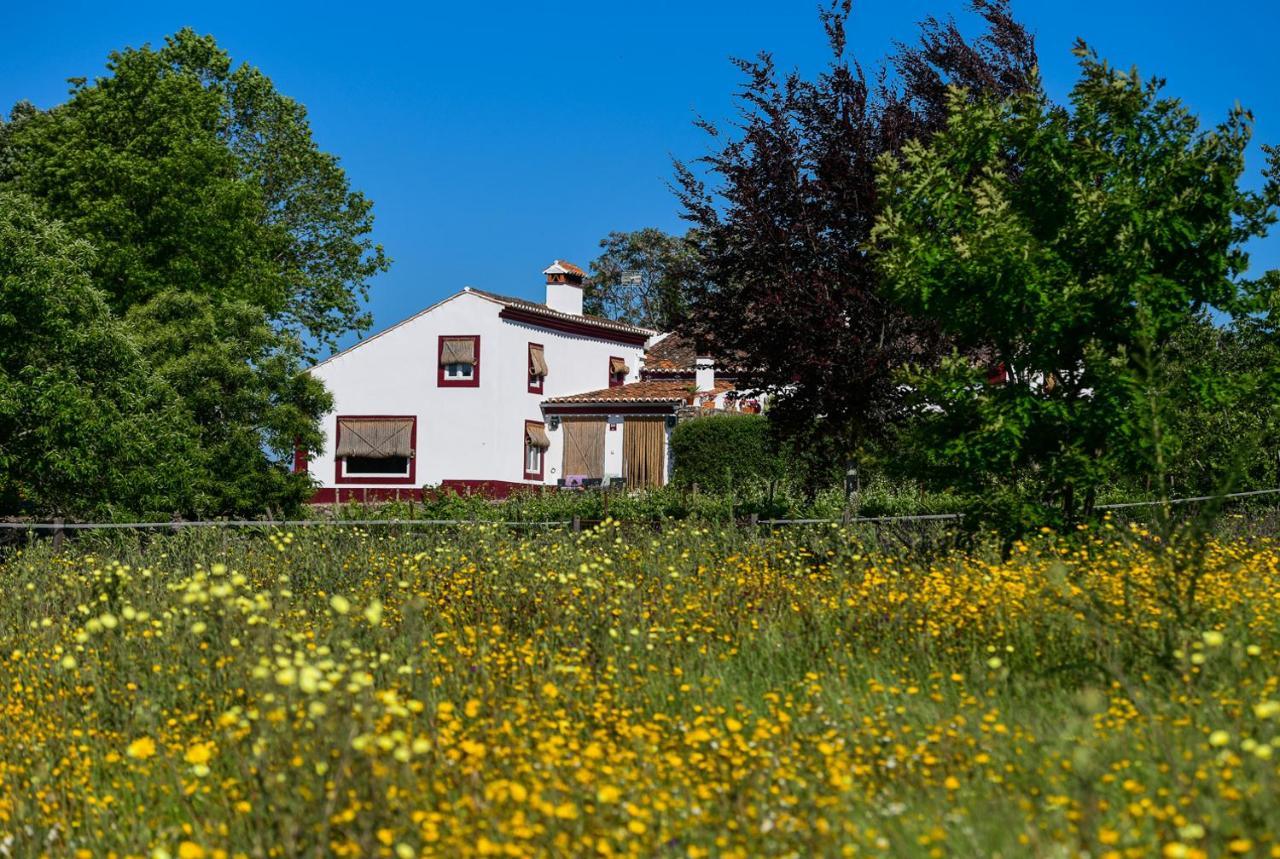 Готель Quinta Da Dourada Порталегре Екстер'єр фото
