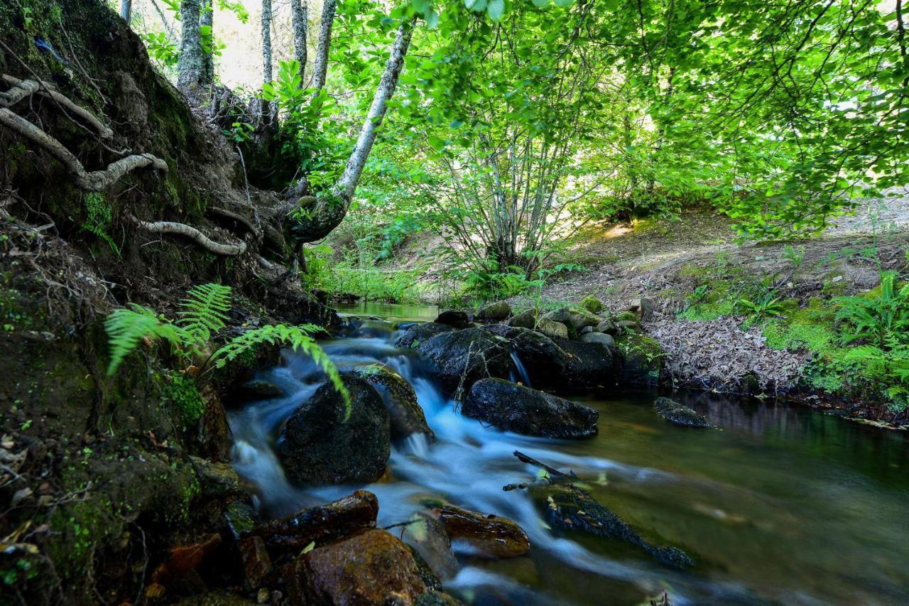 Готель Quinta Da Dourada Порталегре Екстер'єр фото